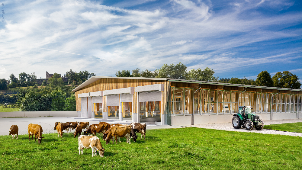 Neubau Milchviehstall Domne Hochburg: Rendering Markus Dold, Buichenbach 